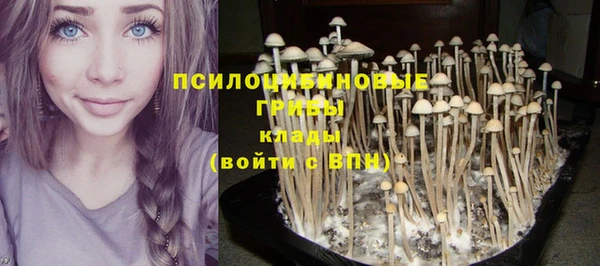 шишки Липки