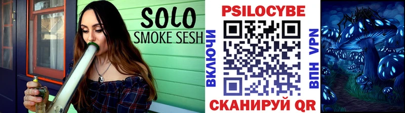 Псилоцибиновые грибы Cubensis  хочу   mega как войти  Оса 